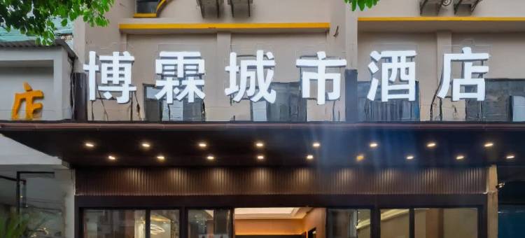 博霖城市酒店(六盘水火车高铁站店)图片