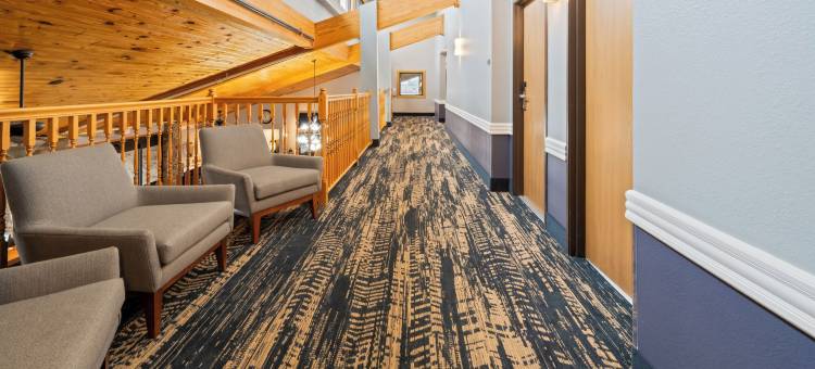 俾斯麦美吟温德姆酒店(AmericInn by Wyndham Bismarck)图片