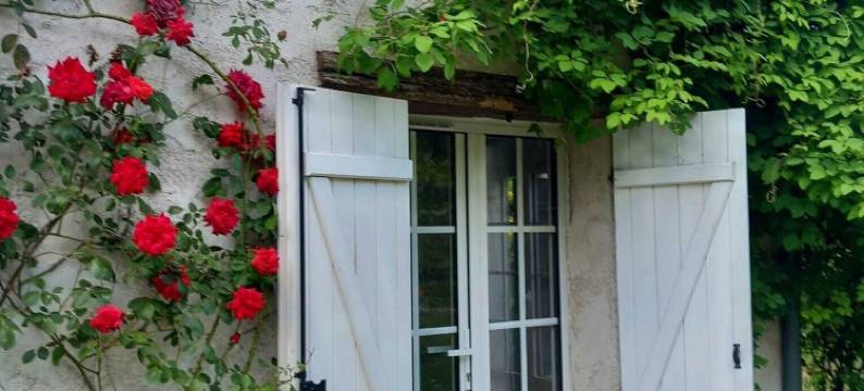 拉达纳莎旅馆(Maison d'hôtes La Danasha)图片