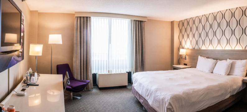 德卢斯港景丽笙酒店(Radisson Hotel Duluth-Harborview)图片