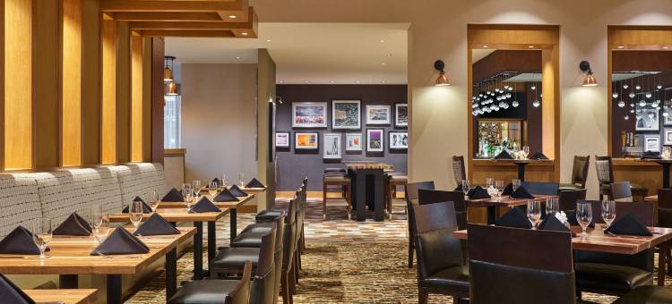 休斯顿洲际机场逸林酒店(DoubleTree by Hilton Houston Intercontinental Airport)图片