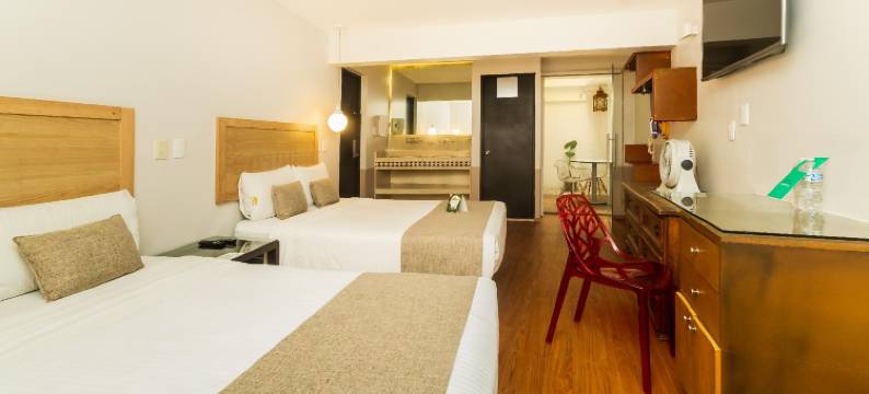 安苏雷斯主题酒店(Collection O Casa Anzures Thematic, Mexico City)图片