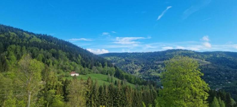 Apartment in Darney with Meadow Views图片