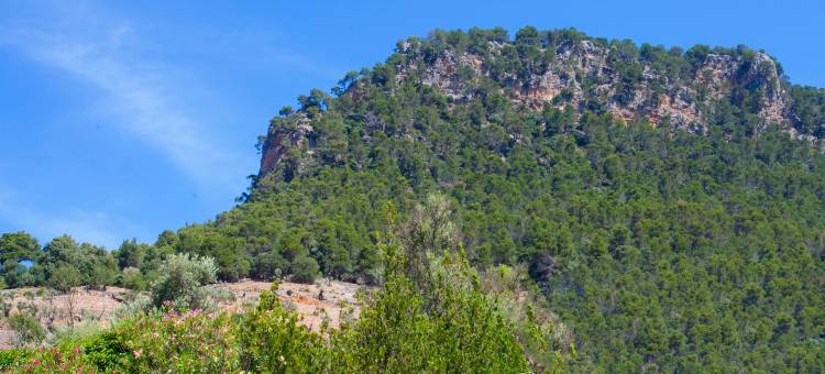 Eremus - House In Valldemossa. Free Wifi图片