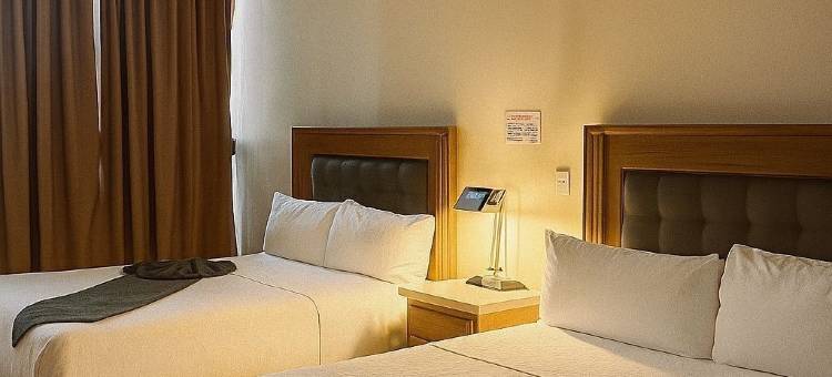 狮子大酒店(Hotel Grand Lion)图片