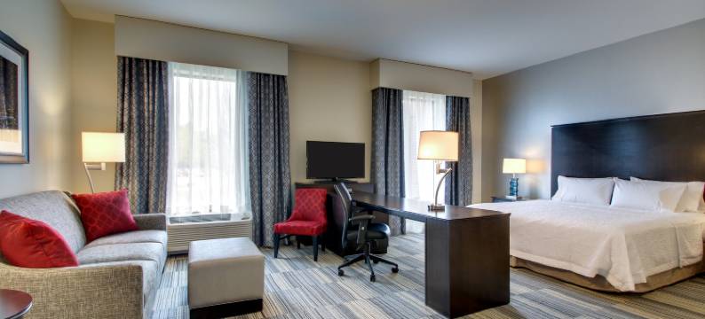 格林维尔机场欢朋酒店及套房(Hampton Inn & Suites Greenville Airport)图片