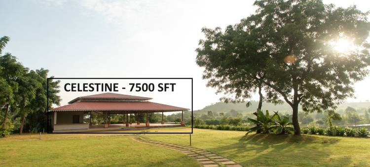 哈姆雷特(The Hamlet)图片