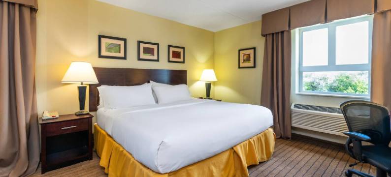 的舒适酒店和套房(Comfort Inn & Suites)图片