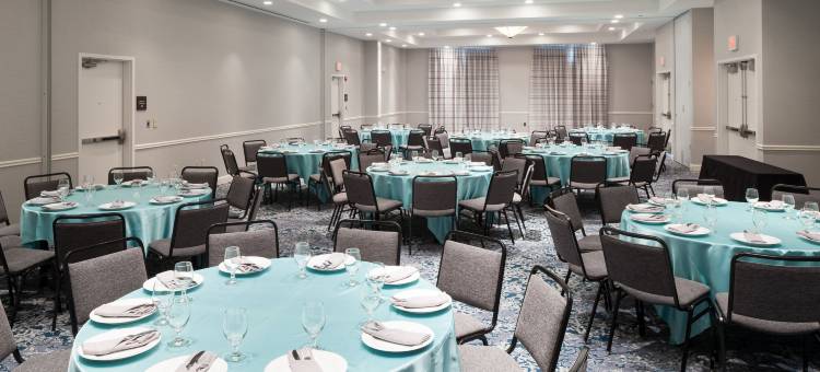 弗赖拉辛达拉斯希尔顿花园酒店(Hilton Garden Inn Dallas Frisco)图片