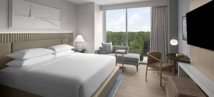 Hilton Jacksonville at Mayo Clinic图片