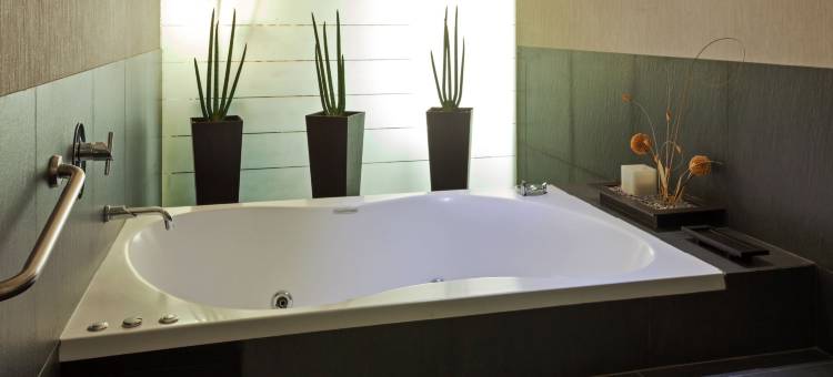 Crowne Plaza 托卢卡- LANCASTER(Crowne Plaza TOLUCA-LANCASTER by IHG)图片