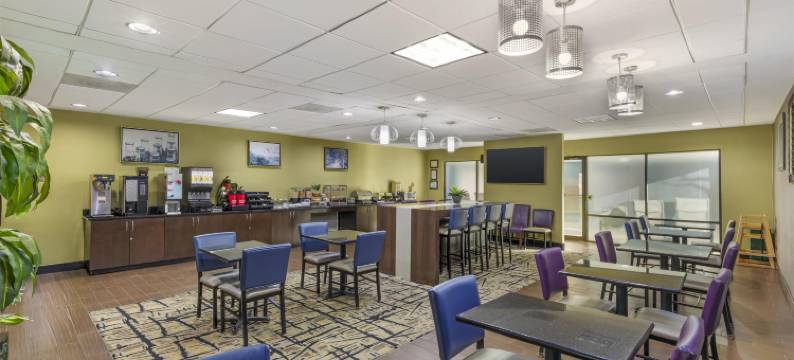 麦克多诺贝斯特韦斯特优质酒店及套房(Best Western Plus McDonough Inn  Suites)图片