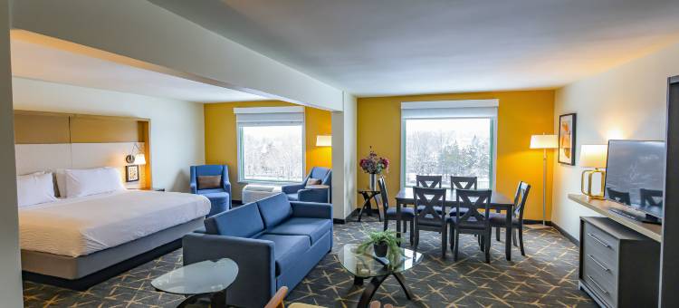 皮斯卡塔韦-萨默塞特洲际假日酒店(Holiday Inn PISCATAWAY - SOMERSET by IHG)图片