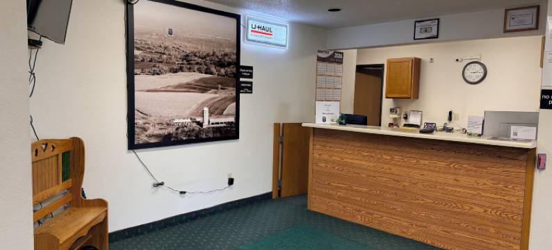 德威特速8酒店(Budget Inn & Suites)图片