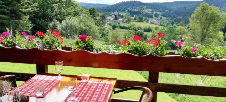 利泽旅馆(Auberge de Liezey)图片