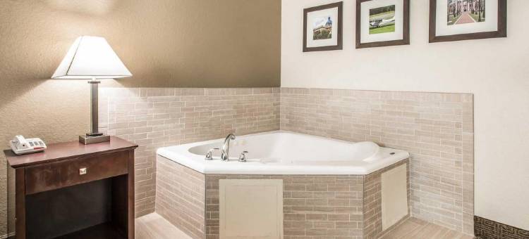 舒适套房酒店-近迪兰大学(Comfort Inn & Suites DeLand - Near University)图片