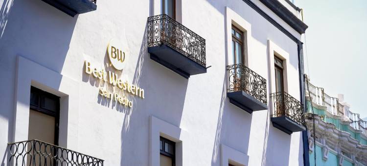 普埃布拉圣佩德罗酒店(Hotel San Pedro Puebla)图片