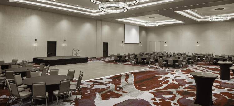 阿马里洛市中心希尔顿安泊酒店(Embassy Suites by Hilton Amarillo Downtown)图片