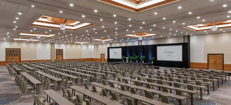 珊瑚角度假滨海村威斯汀酒店(The Westin Cape Coral Resort at Marina Village)图片