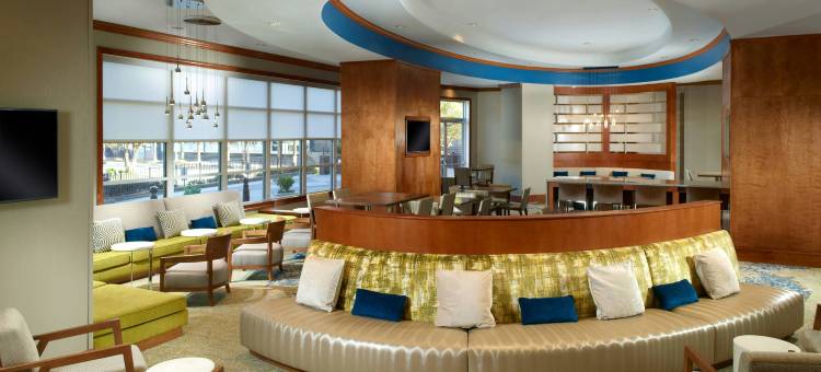 亚特兰大巴克海特万豪SpringHill酒店(SpringHill Suites Atlanta Buckhead)图片