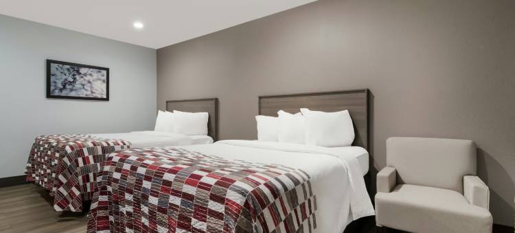 红屋顶酒店洛基山-巴特尔伯罗(Red Roof Inn Rocky Mount - Battleboro)图片