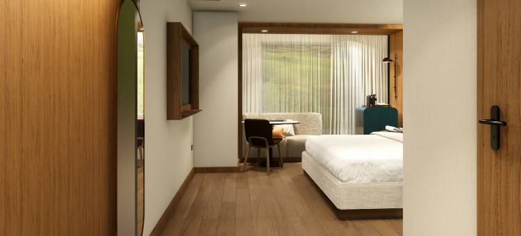 希尔顿花园酒店佩雷拉(Hilton Garden Inn Pereira)图片