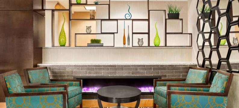 里士满中洛锡安拉昆塔温德姆套房酒店(La Quinta Inn & Suites by Wyndham Richmond-Midlothian)图片