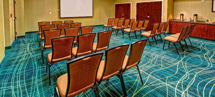诺福克奥多明尼昂大学 SpringHill Suites 酒店(SpringHill Suites Norfolk Old Dominion University)图片