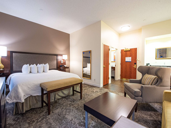 希尔顿欢朋套房酒店-洛克维尔中心NY酒店