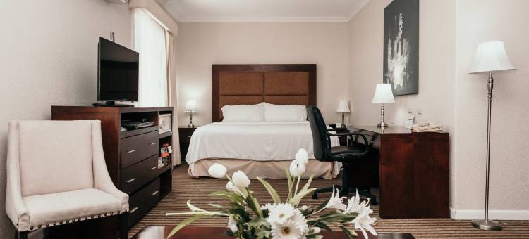 杜兰戈假日酒店(Holiday Inn Durango)图片