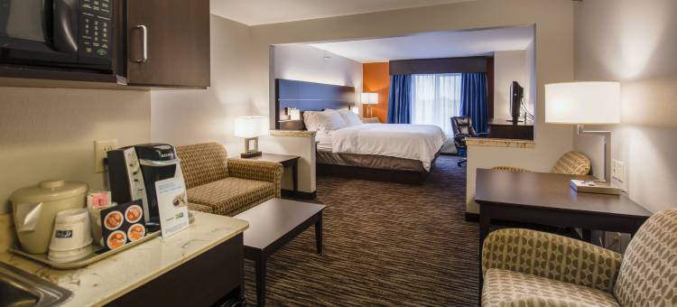 智选假日套房酒店苏福尔斯的布兰顿(Holiday Inn Express & Suites Sioux Falls-Brandon)图片