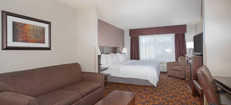 扬克顿智选假日酒店(Holiday Inn Express & Suites Yankton)图片