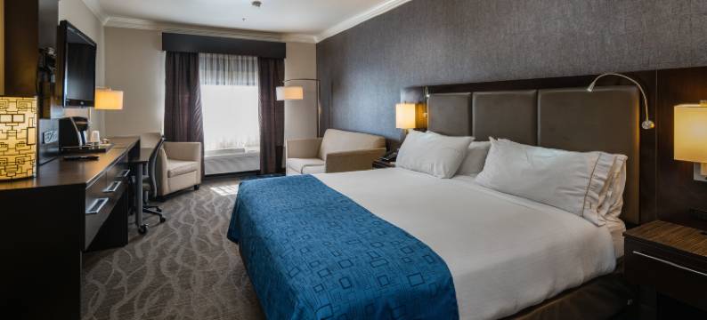 智选假日套房酒店圣克拉拉(Holiday Inn Express & Suites SANTA CLARA by IHG)图片