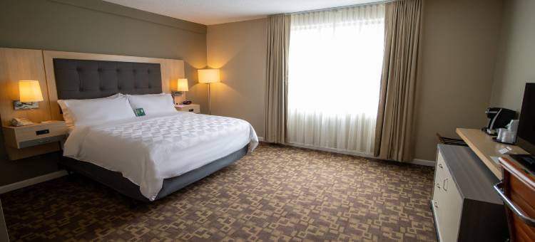 Holiday Inn 斯克兰东(邓莫尔)(Holiday Inn Scranton East - Dunmore)图片