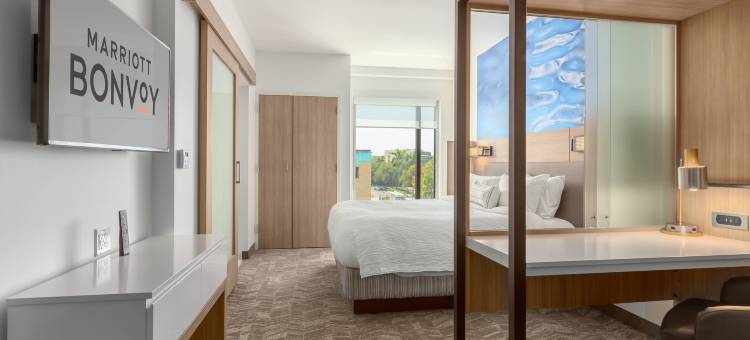 布雷登顿市中心/河滨SpringHill Suites酒店(SpringHill Suites Bradenton Downtown/Riverfront)图片