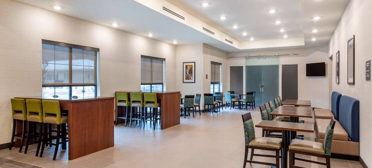 舒适套房酒店(Comfort Suites)图片