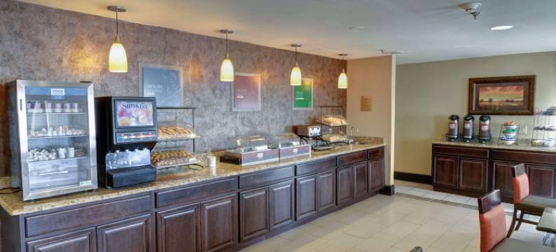 舒适套房酒店(Comfort Inn & Suites)图片