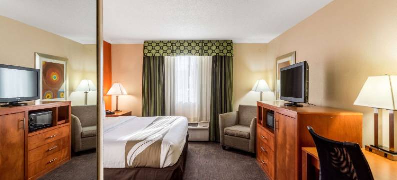 纳什维尔市中心 - 体育馆舒适套房酒店(Comfort Inn & Suites Nashville Downtown - Stadium)图片