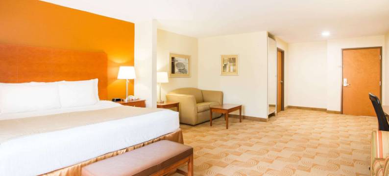 萨凡纳南呗盟套房酒店(Baymont by Wyndham Savannah South)图片