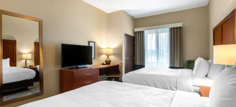 埃姆斯爱荷华州立大学校园附近舒适套房酒店(Comfort Inn and Suites Ames Near Isu Campus)图片