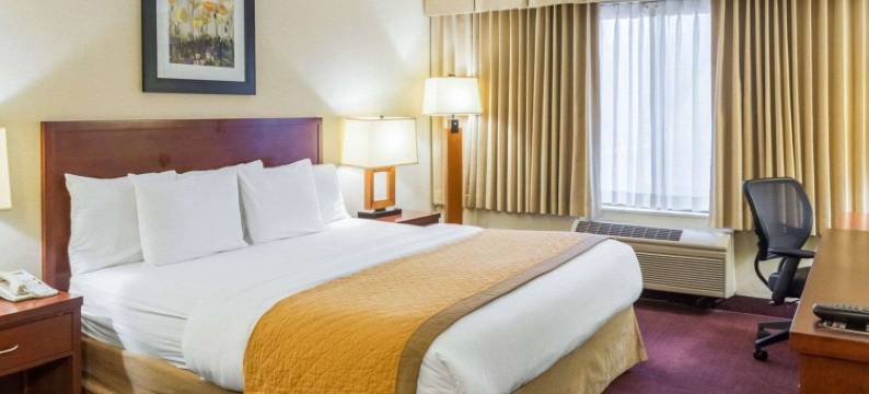 萨默塞特凯隆酒店-新不伦瑞克(Clarion Hotel Somerset - New Brunswick)图片