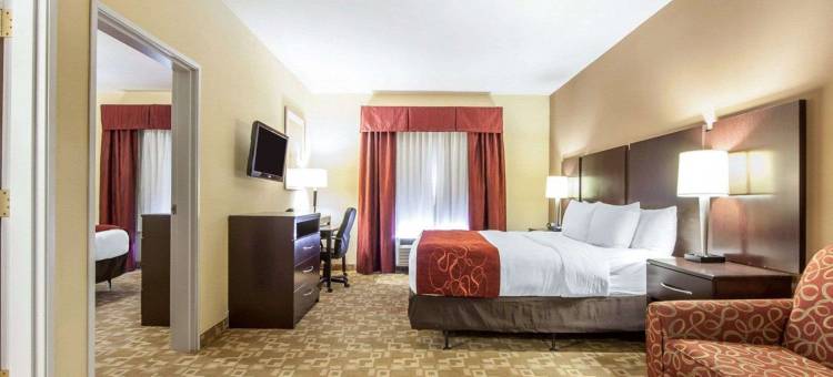 舒适套房酒店(Comfort Suites)图片