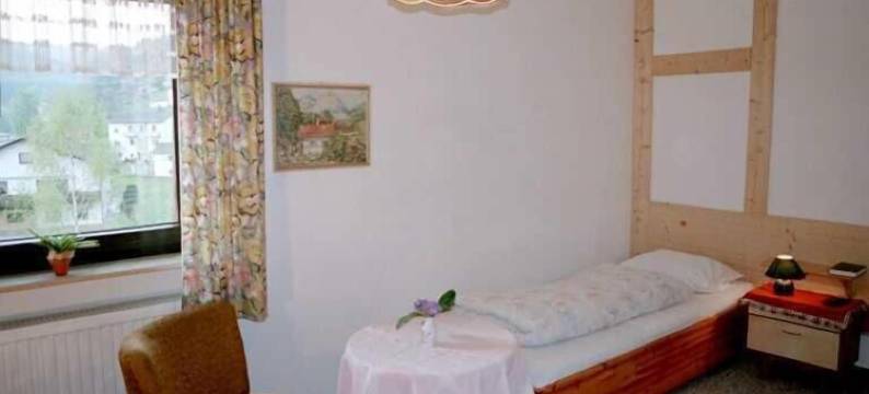 加斯特霍夫促特劳伯酒店(Gasthof Zur Traube)图片