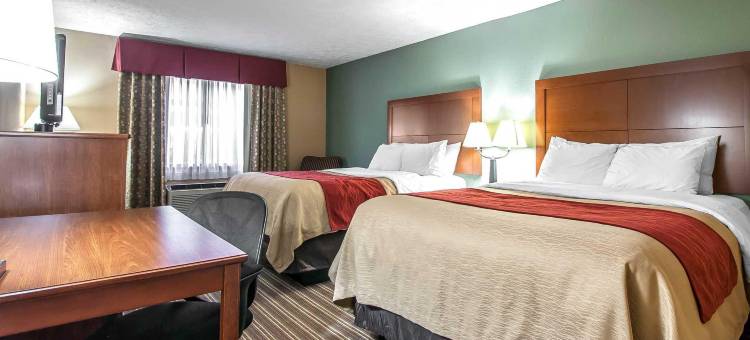 杰克逊I-40舒适酒店(Comfort Inn Jackson I-40)图片