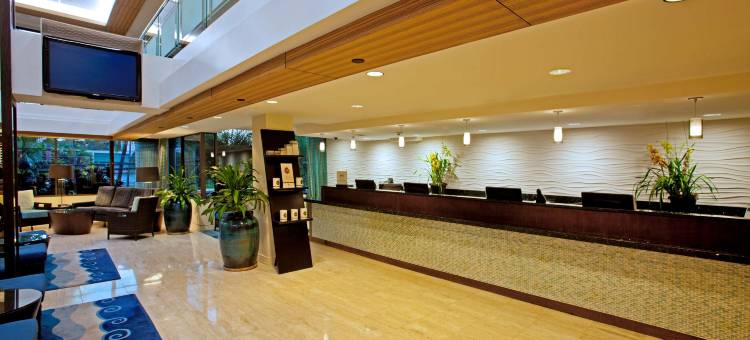 阿拉那希尔顿逸林酒店-威基基海滩(DoubleTree by Hilton Alana - Waikiki Beach)图片