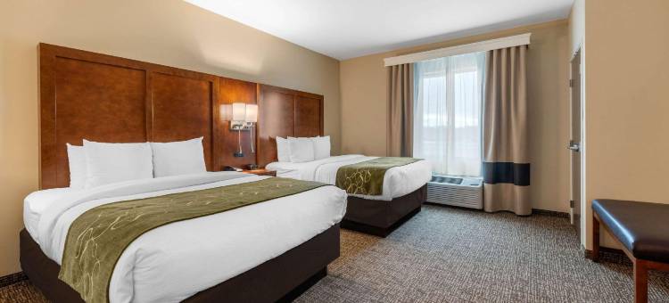 舒适套房酒店-近丹佛安舒茨医学院(Comfort Suites Denver Near Anschutz Medical Campus)图片