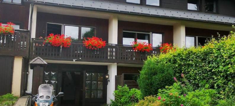 赫申施沃兹沃德盖斯霍夫酒店(Schwarzwaldgasthof Hotel Hirschen)图片