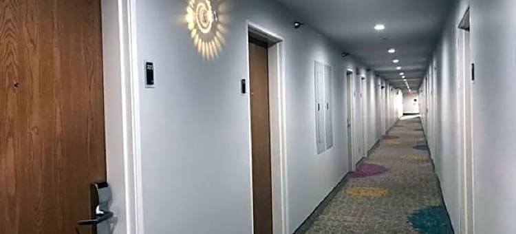 温德姆戴斯酒店-莱克布拉夫大湖海军基地(Days Inn by Wyndham Lake Bluff/Great Lakes Naval Base)图片