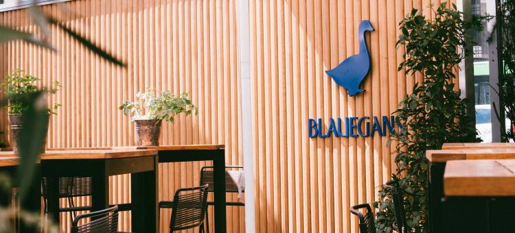 蓝骑士甘斯艺术酒店(ArtHotel Blaue Gans)图片