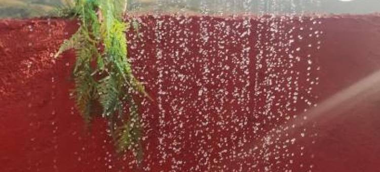 Casa la Colina Mandarina I图片